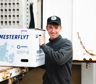 Mesterflyt logo blå